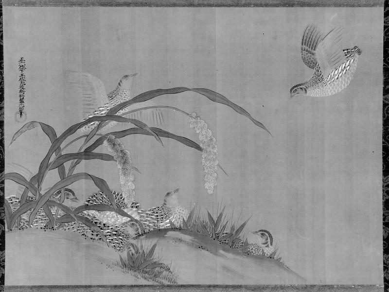Quail and Millet