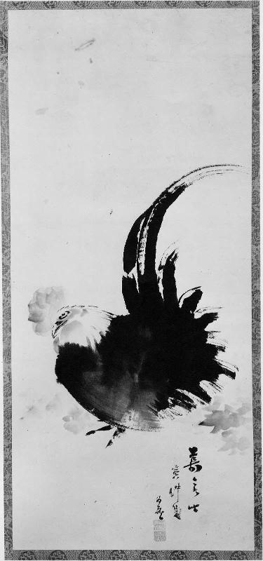 Rooster