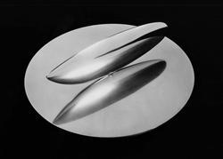 Steel plate for "The Fish"
