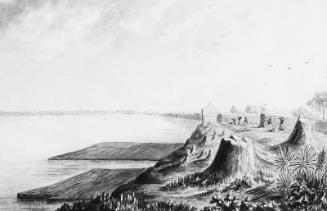 New Orleans from the Battleground