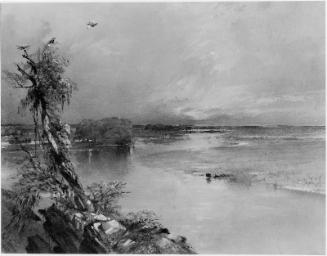 River Scene
