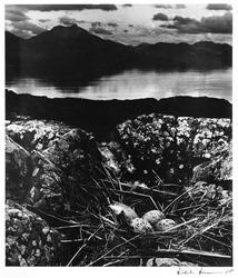 Gull's Nest, Late on Midsummer Night, Isle of Skye from the series Literary Britain