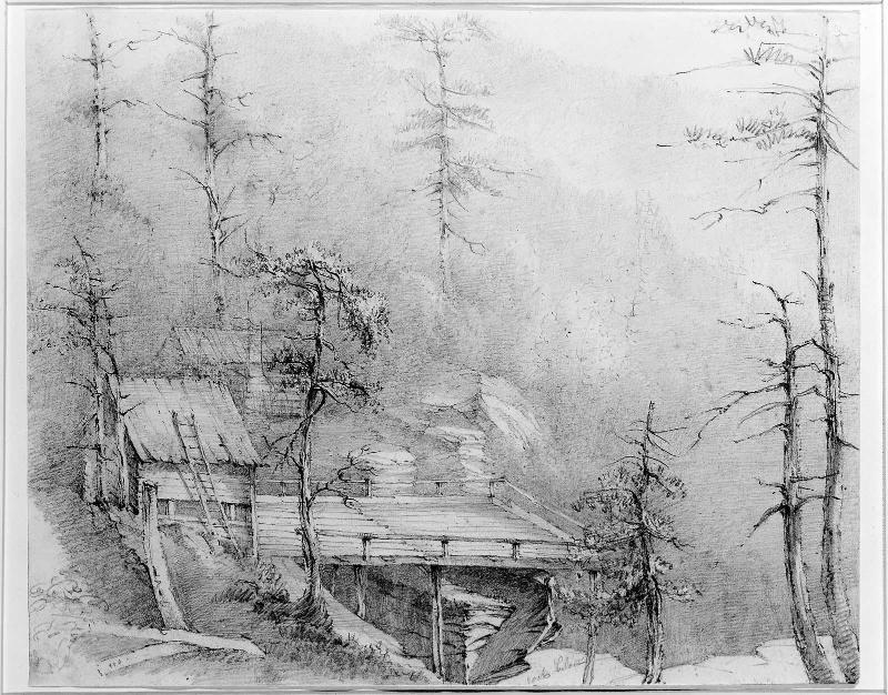 Observation Platform Overlooking Cauterskill Falls, New York