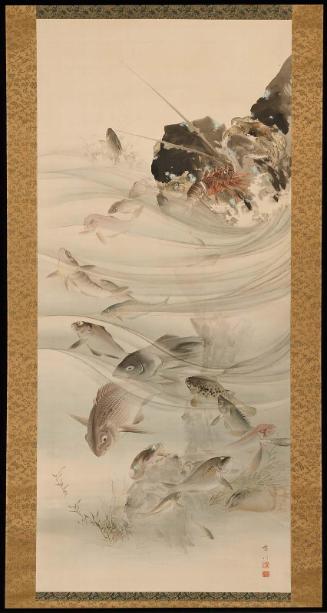 Fish near Shore