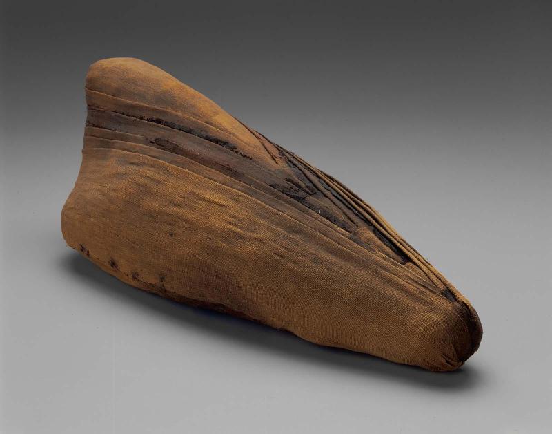 Mummy of an ibis