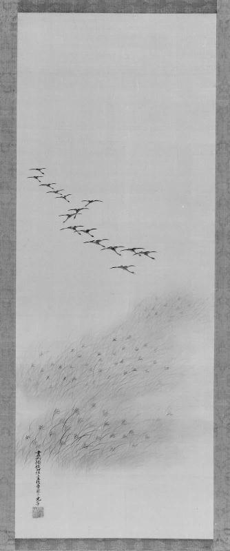 Geese Descending to Reeds