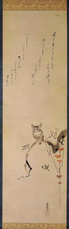 An Owl on a Dead Branch