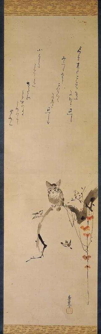 An Owl on a Dead Branch