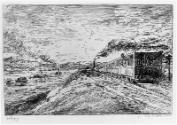 Plate 15