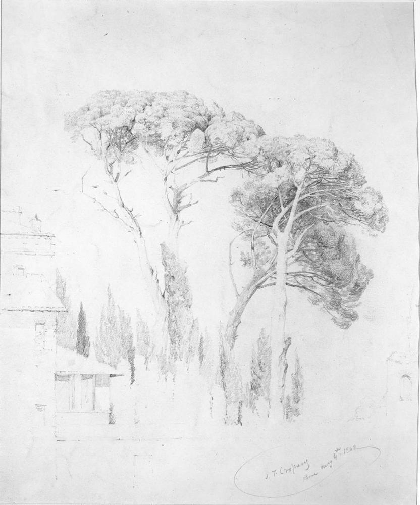 Trees and Edge of Villa, Rome