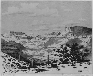 Cloud Shadows-Apache Trail