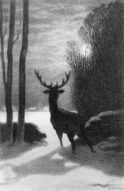 Stag in Winter Moonlight