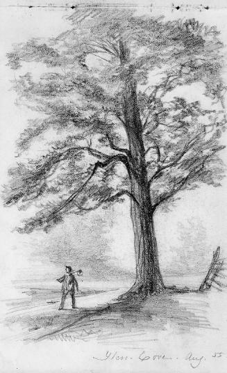 Glen Cove, August 1855: Elm Tree and Man with Hoe