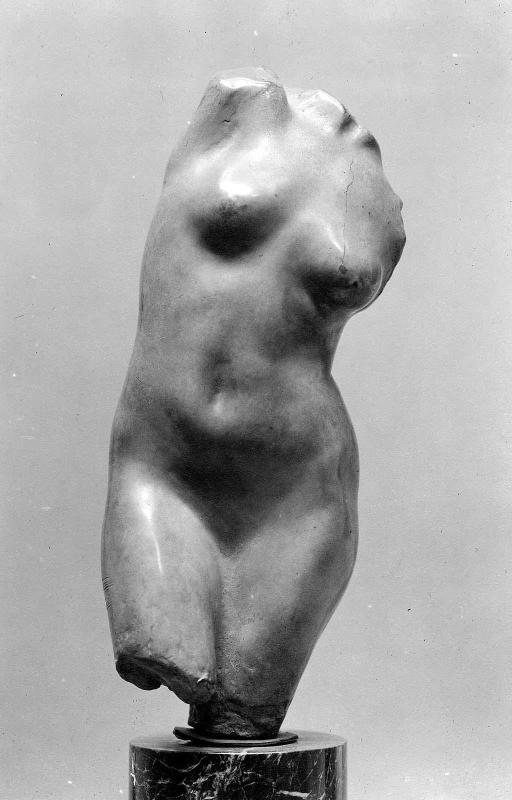 Torso