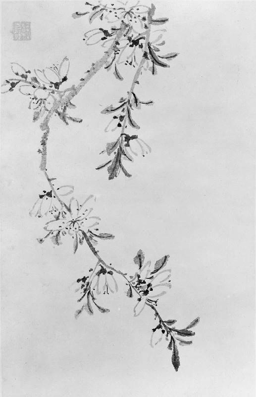 Album of 8 leaves
