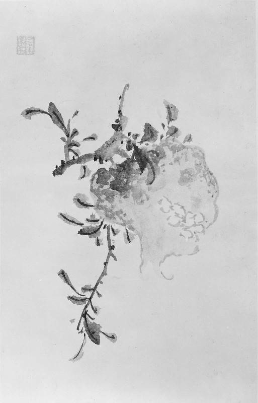 Album of 8 leaves
