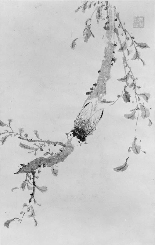 Album of 8 leaves
