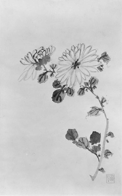 Album of 8 leaves