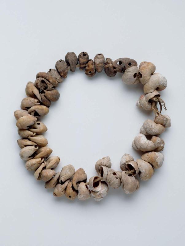 String of pierced shells