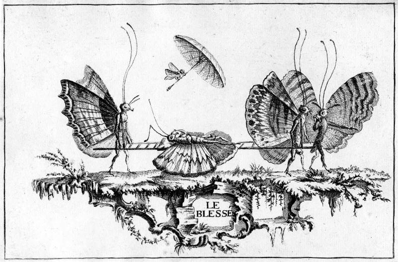 The Wounded One, from the series Papilloneries humaines