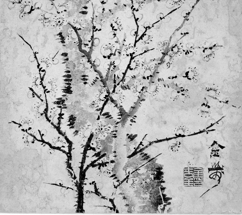 Flowering plum