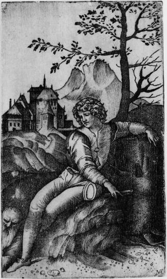 The Young Shepherd