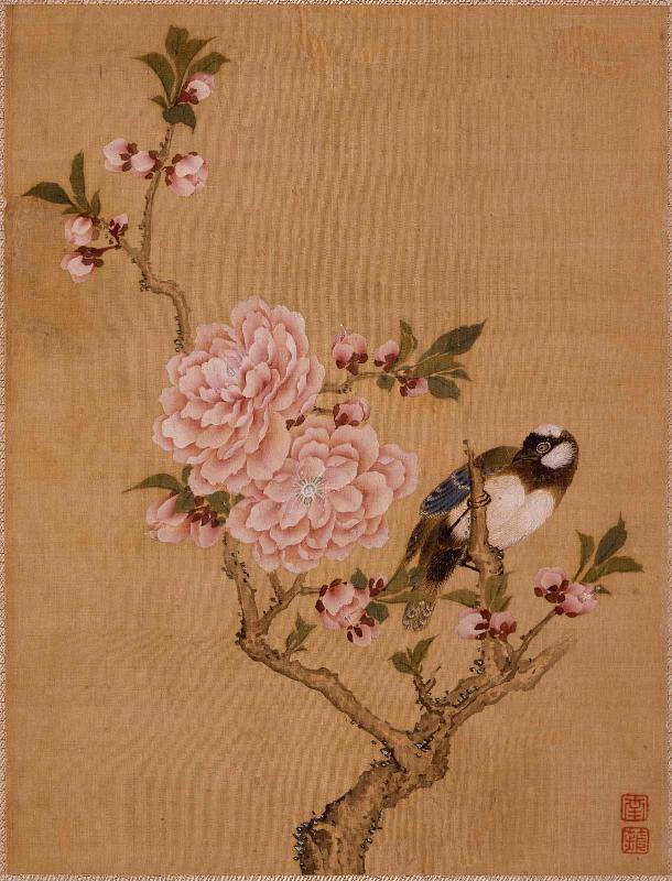 Bird on a branch of blossoming peach tree