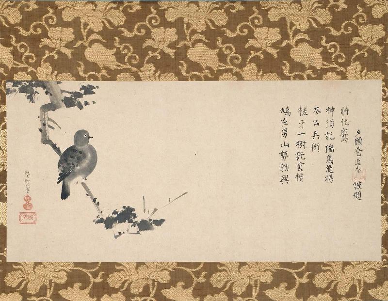 Dove on a Withered Branch