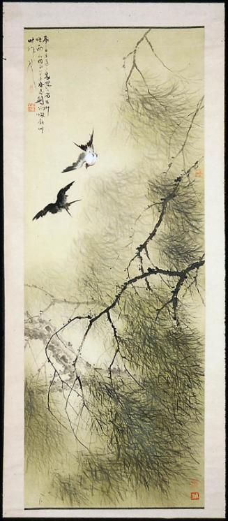 Swallows and willows