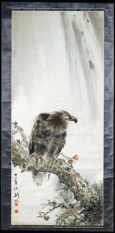 Hawk perched on pine tree in front of a waterfall