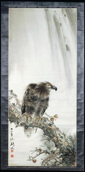 Hawk perched on pine tree in front of a waterfall