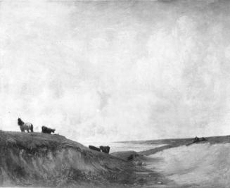 Cattle on the Dunes