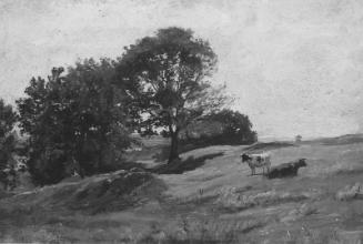 Hillside in Summer