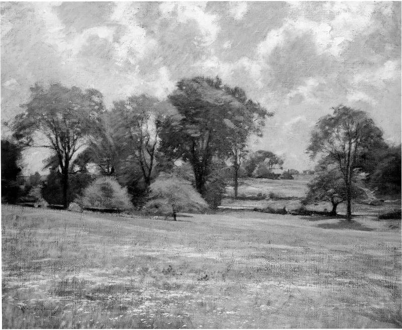 Early Summer