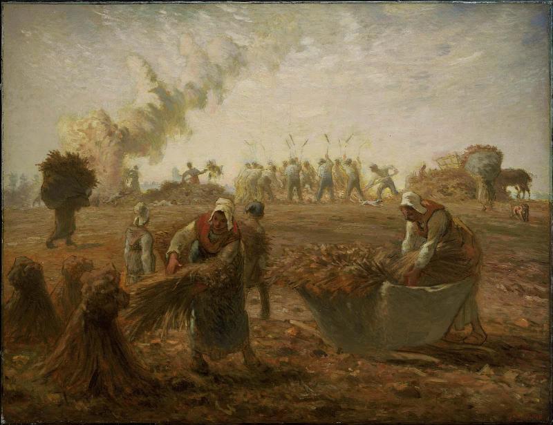 Buckwheat Harvest, Summer