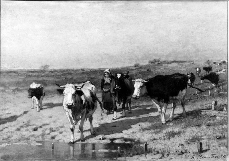 Girl Tending Cows