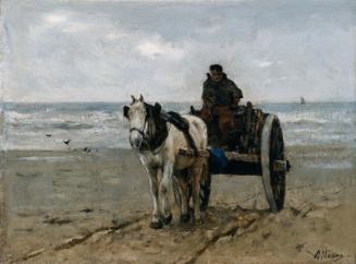 Seaweed Gatherer