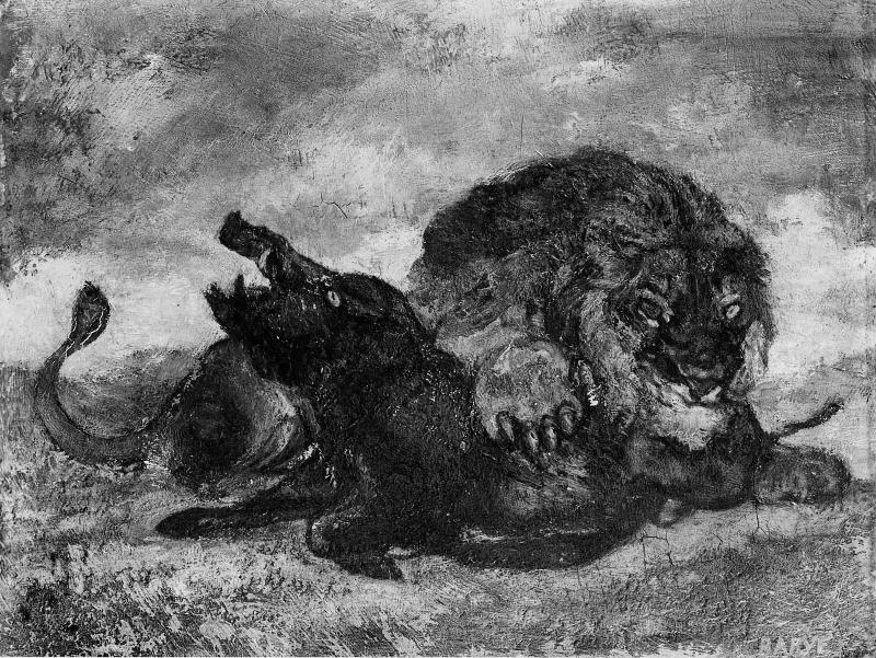 Lion and Boar