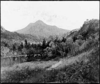 California Landscape