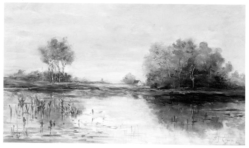 Summer Landscape