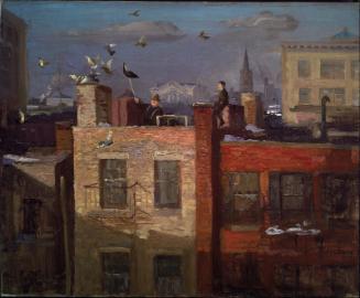 Pigeons