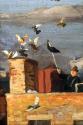 Roof and pigeons