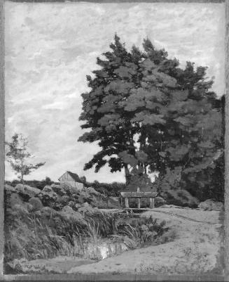 Landscape with an Old Dam