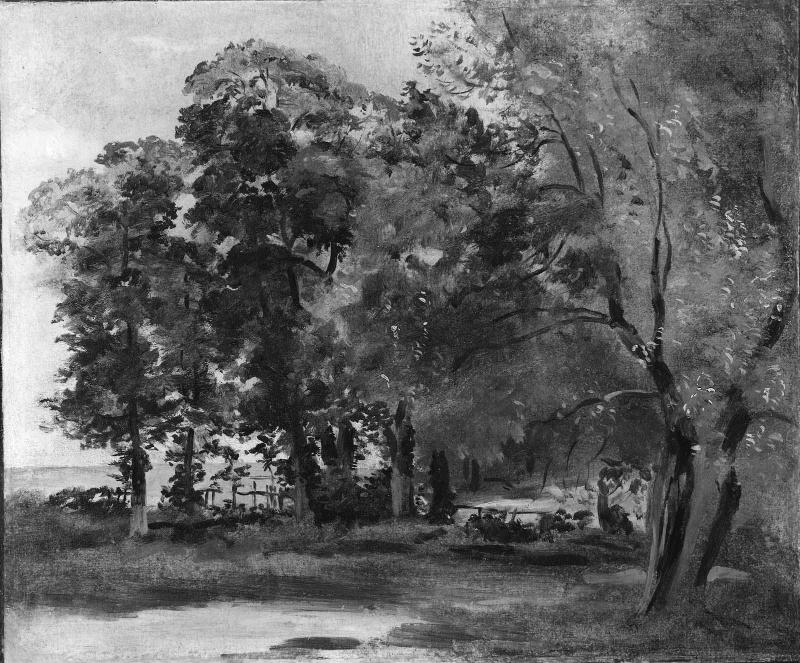 A Glade
