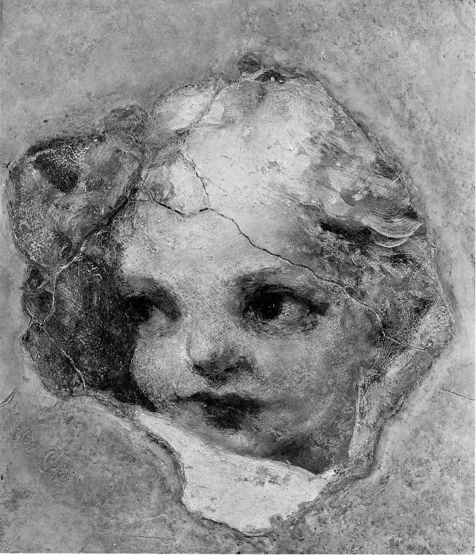 Head of a Cherub