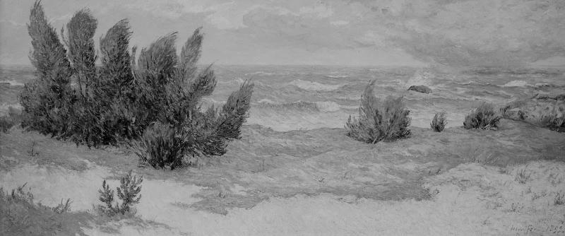 Gust of Wind