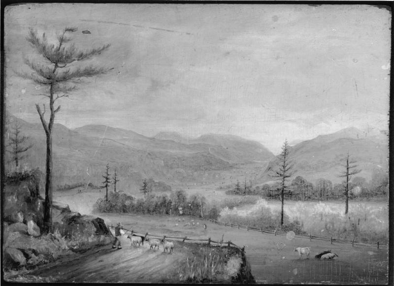 View of Valley of the Franconia Mountains, New Hampshire