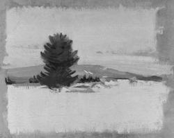 Landscape Study