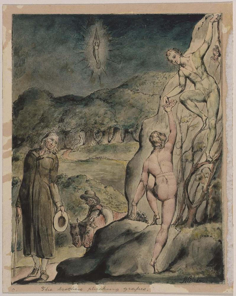 The Brothers Plucking Grapes (Illustration to Milton's "Comus")