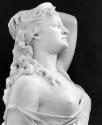 Head and torso
